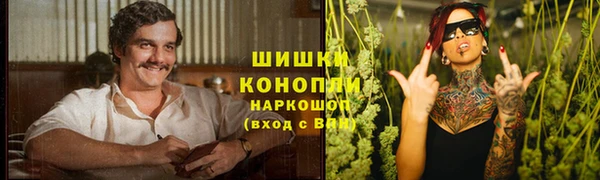 apvp Белокуриха