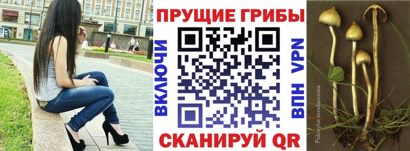 Псилоцибиновые грибы GOLDEN TEACHER Видное