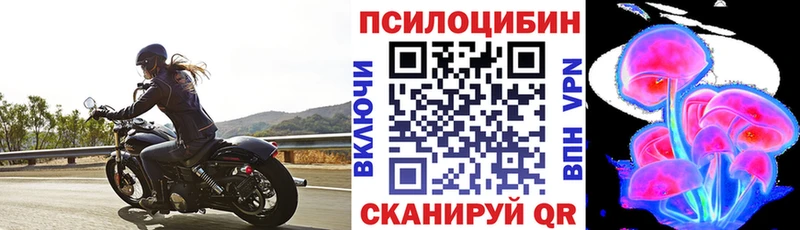 Псилоцибиновые грибы MAGIC MUSHROOMS  Купить где  Видное 